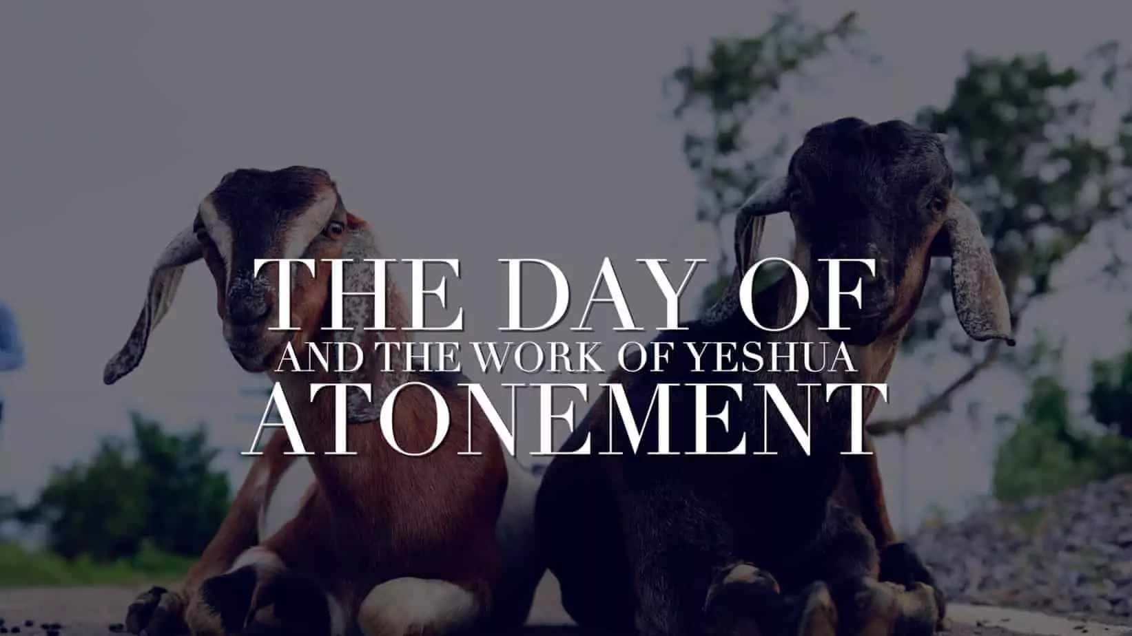 DAY OF ATONEMENT