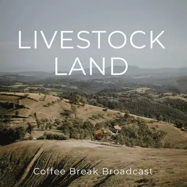 Livestock Land – Coffee Break
