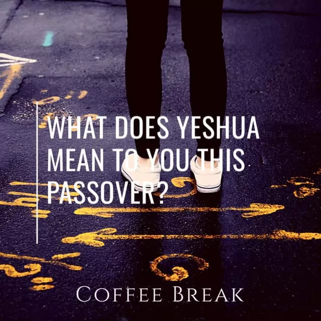 What Does Yeshua Mean to you this Passover?