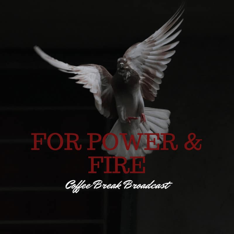 For Power & Fire