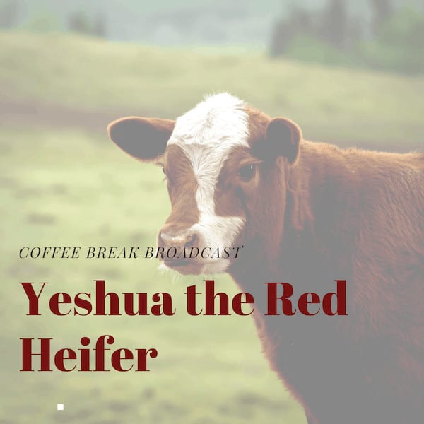 Yeshua the Red Heifer