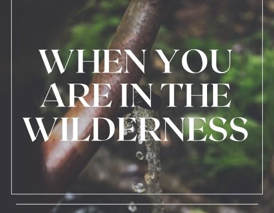 When you are in the Wilderness