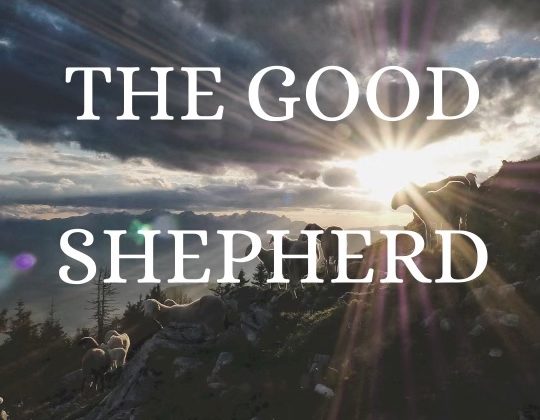 The Good Shepherd